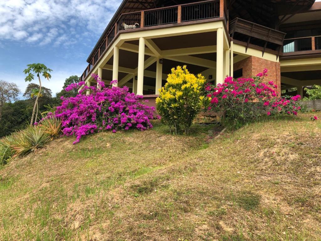 Billion Views Khaosok Homestay Khao Sok National Park Exterior foto